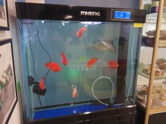 玻璃魚缸臟了怎么清洗才干凈？